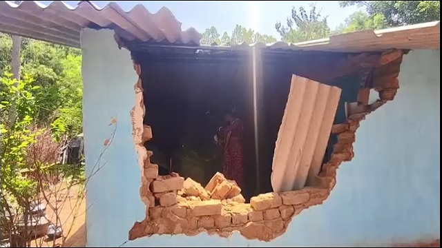 ଚମ୍ପୁଆ ରେଞ୍ଜରେ ୧୬ ଟିକିଆ ହାତୀ ପଲଙ୍କ ଆତଙ୍କ, ଘର ଭାଙ୍ଗି ଖାଉଛନ୍ତି ଧାନ