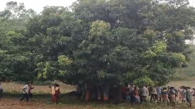 ଲକ୍ଷ୍ମୀପୁରରେ କାଳବୈଶାଖୀ ତାଣ୍ଡବ: ବଜ୍ରାଘାତରେ ଚାଲିଗଲା ଦୁଇ ଜୀବନ