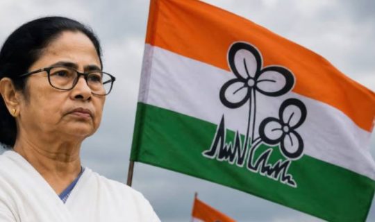 Tmc mamata 540x320 1