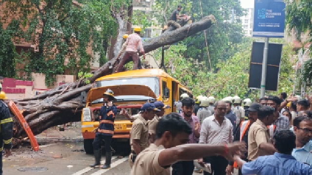 ସ୍କୁଲ ଭ୍ୟାନ୍ ଉପରେ ପଡ଼ିଲା ଗଛ, ଅନେକ ଛାତ୍ରଛାତ୍ରୀ ଆହତ