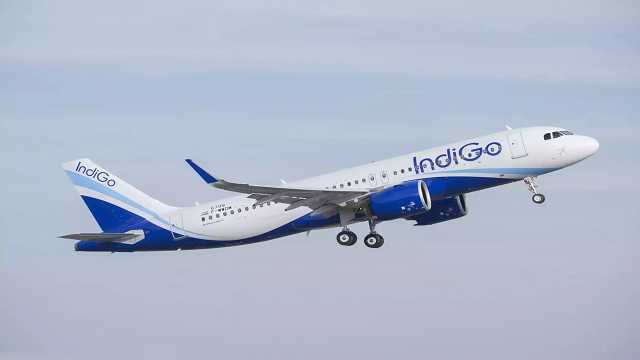 Indigo