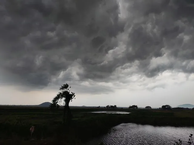 Rain 2026 06 09 12 17 48