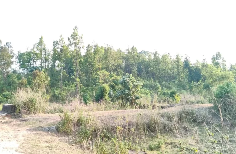 ସୁନ୍ଦରଗଡ଼ ସୀମାନ୍ତ ଗାଁରେ ବୁଲୁଛନ୍ତି ସନ୍ଦିଗ୍ଧ ମାଓବାଦୀ!