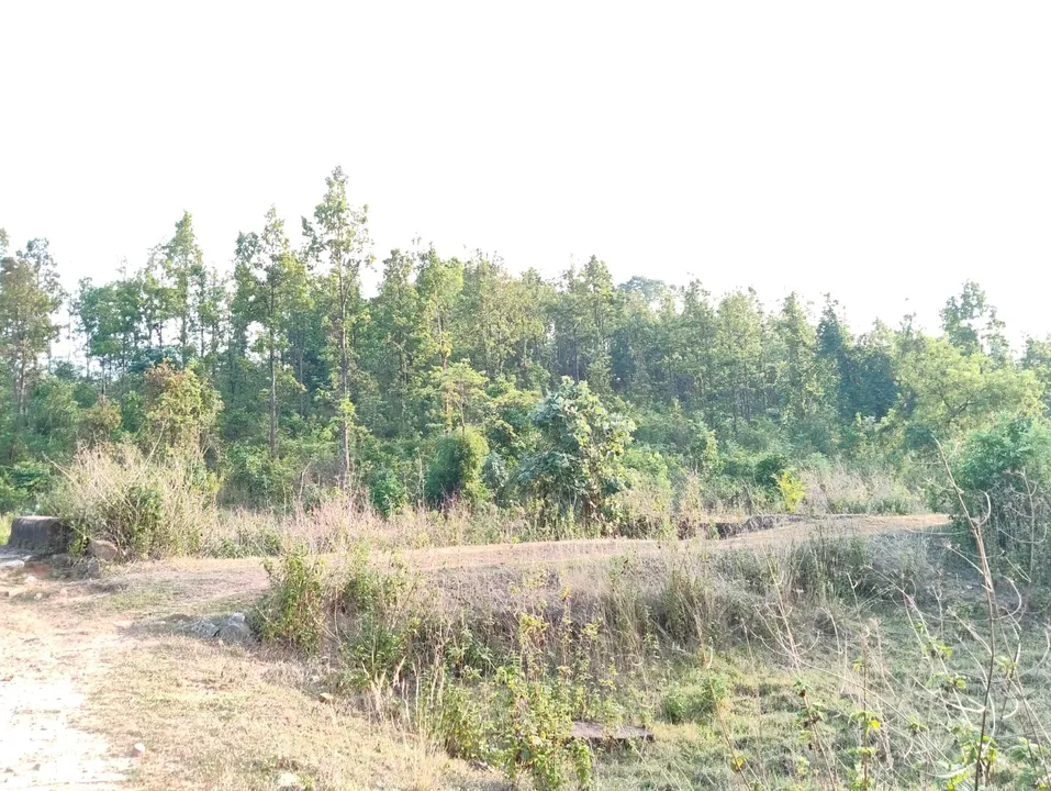 Suspected maoists 2026 06 10 19 16 38