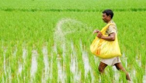 ଅଗଷ୍ଟ ୧୫ ଯାଏ ପିଏମ୍‌ ଫସଲ ବୀମା ବଢ଼ାଇବାକୁ ଦାବି