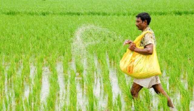 ସାର ସଂକଟ ଦୂର ପାଇଁ ରାଜ୍ୟ ସରକାରଙ୍କ ବଡ଼ ପଦକ୍ଷେପ: କଳାବଜାରୀ ହେଲେ ଦୃଢ଼ କାର୍ଯ୍ୟାନୁଷ୍ଠାନ
