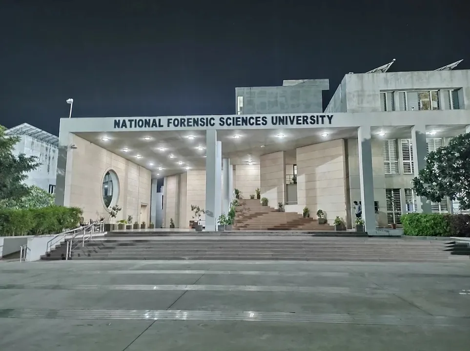 Forensic 2026 07 29 19 08 26