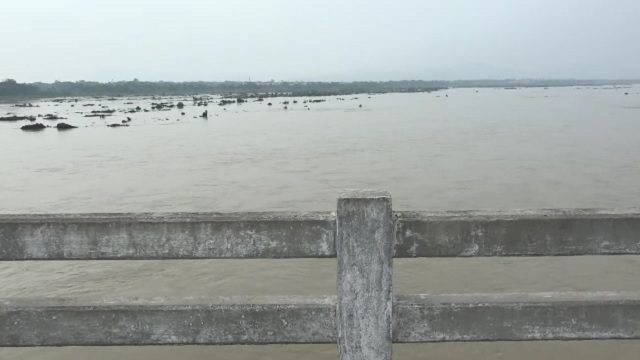 ମହାନଦୀକୁ ଡେଇଁଲେ ନାବାଳିକା, ମିଳୁନି ପତ୍ତା