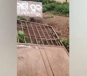 ସ୍କୁଲ ପାଚେରି ଭାଙ୍ଗି ୨ ଛାତ୍ର ଆହତ