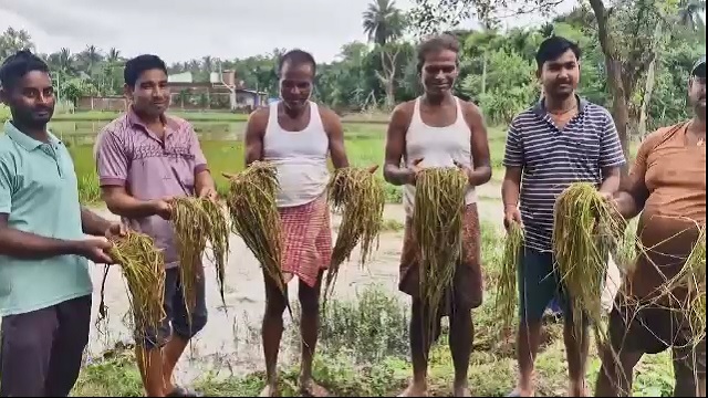 ଜଳକାରେ ପୁଣି ବନ୍ୟା, ଜମିରେ ଲହଡ଼ି ମାରୁଛି ପାଣି