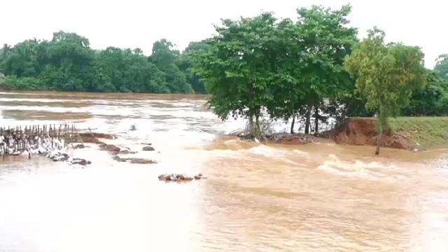 Flood 9