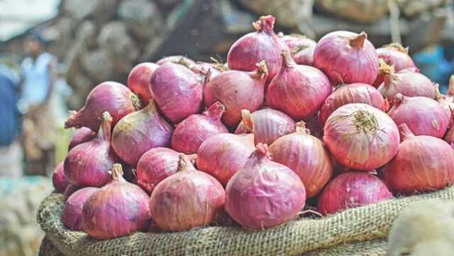 Onion