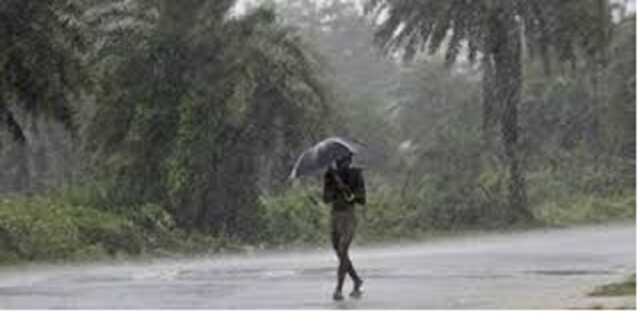 Rainfall