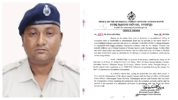 ରାସ୍ତା ପ୍ରଶସ୍ତୀକରଣ ଆଳରେ ଗଛ କାଟିବା ପଡ଼ିଲା ମହଙ୍ଗା, ଫରେଷ୍ଟର ନିଲମ୍ବିତ
