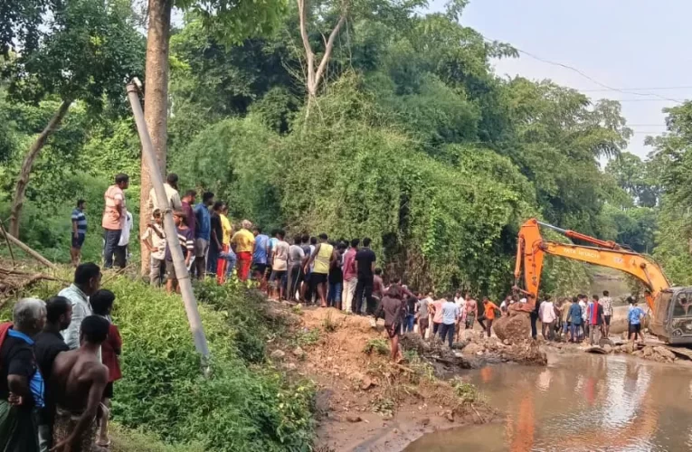 ଭିଣୋଇଙ୍କ ଦଶାହ ତୁଠରେ ଚାଲିଗଲା ଶଳାର ଜୀବନ