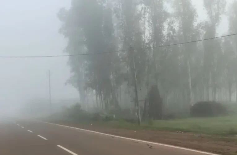 ଲମତାପୁଟରେ ପହିଲି ଶୀତ ସହ ଘନ କୁହୁଡି