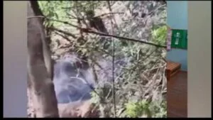 Blast e1791825287898 300x169