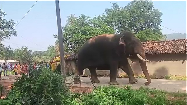 ଚାଷ ଜମିରୁ ଦନ୍ତାର ମୃତଦେହ ଉଦ୍ଧାର